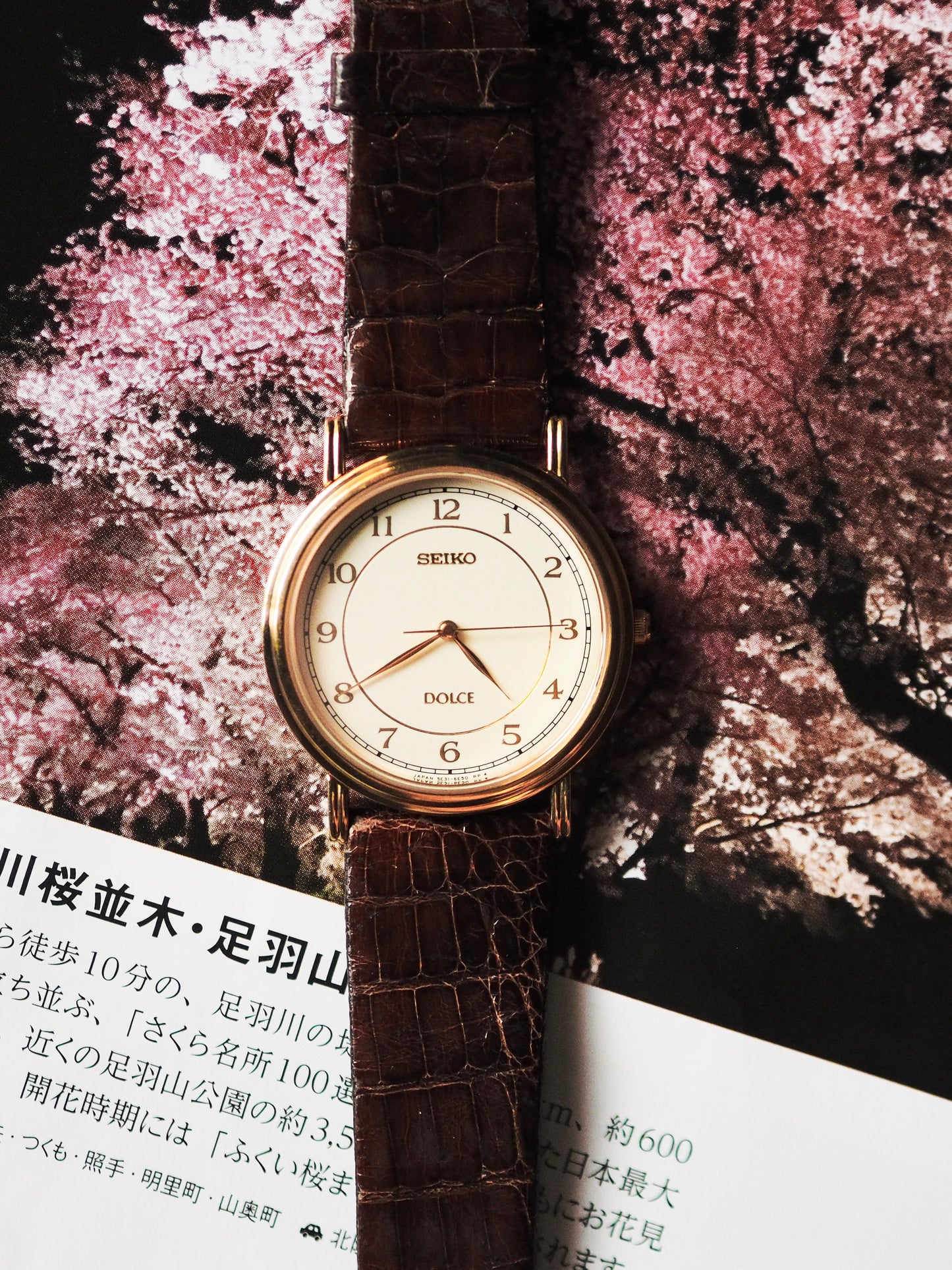 精工 Dolce 5E31-6F50 装饰艺术 金色 白色表盘