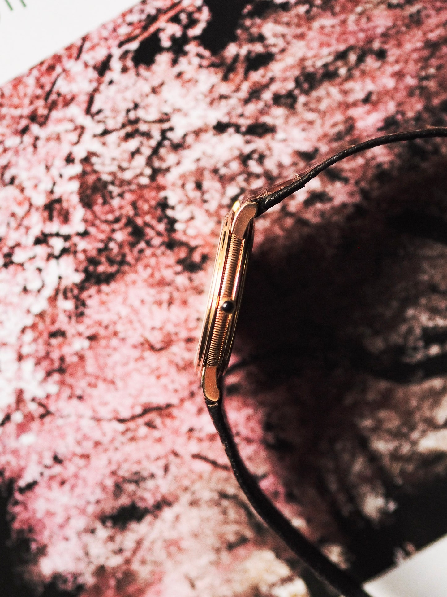 精工 Dolce 5E31-6F50 装饰艺术 金色 白色表盘